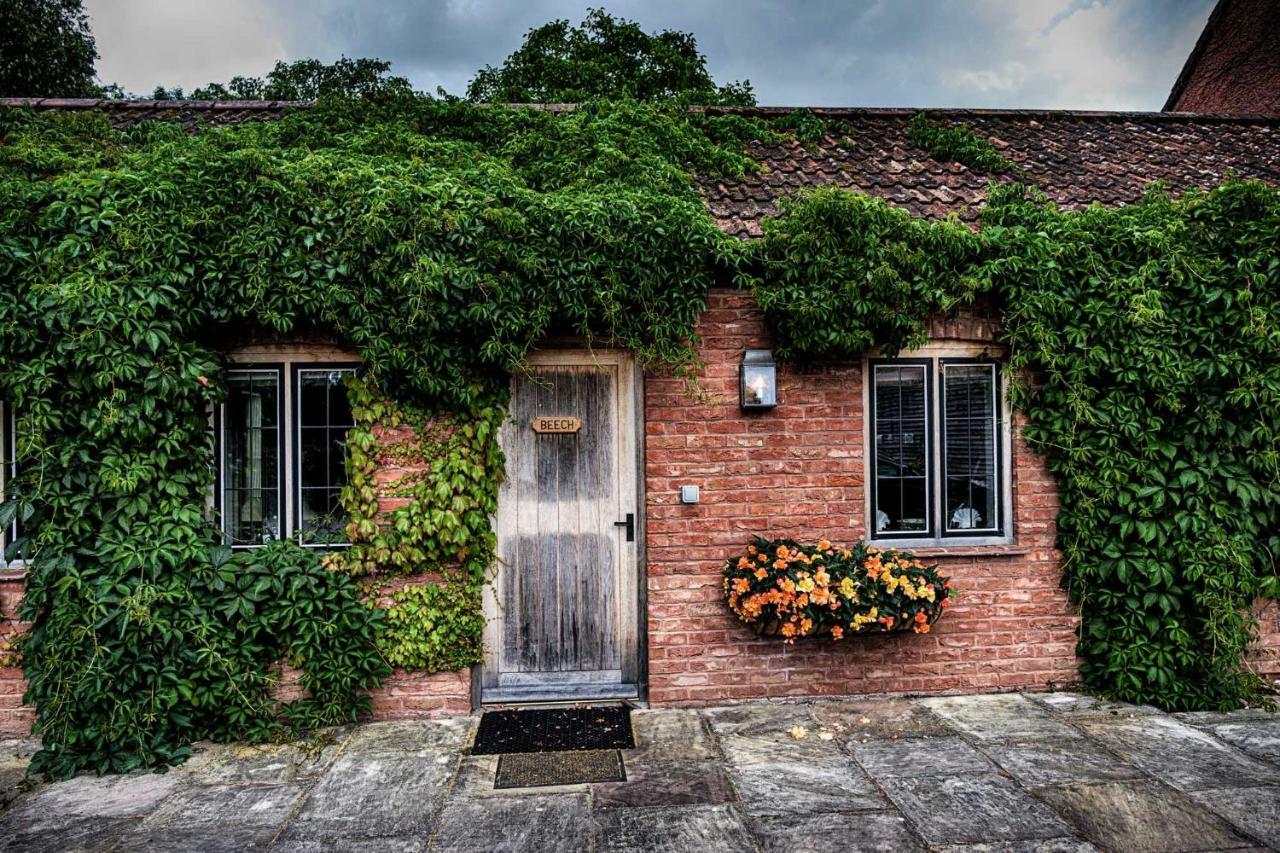 Maunsel House Villa North Newton Exteriör bild